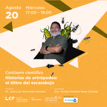 Cartel del Cantinero Científico. Título Historias de artrópodos: el élitro del escarabajo