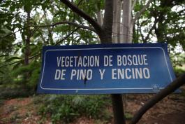 Guadalajara con potencial para crear jardines botánicos