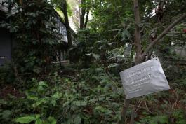 Guadalajara con potencial para crear jardines botánicos