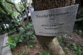 Guadalajara con potencial para crear jardines botánicos