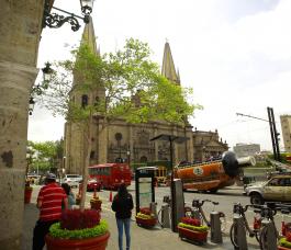 UdeG realiza inventarios para incentivar la planeación