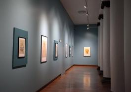 R.P. para dar a conocer los detalles de la exposición Puertas abiertas. Patrimonio artístico universitario