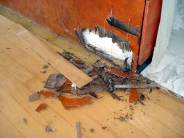 Termita, problema serio que crece en México