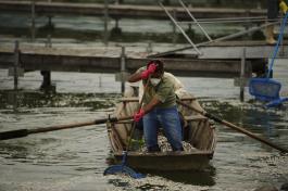 Mortandades de peces en la Laguna de Cajititlán, Jalisco