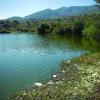 Contaminación en la presa el Molino