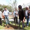 Plantación de árboles en la Biblioteca Publica por el 30 aniversario del FICG