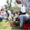 Plantación de árboles en la Biblioteca Publica por el 30 aniversario del FICG