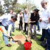 Plantación de árboles en la Biblioteca Publica por el 30 aniversario del FICG