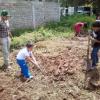 Hablarán sobre reforestación y farmacias vivientes entre niños
