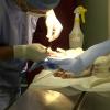 Licenciatura en medicina veterinaria y zootecnia entre las carreras con mayor demanda