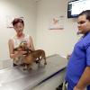 Licenciatura en medicina veterinaria y zootecnia entre las carreras con mayor demanda