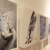Exposición “Metáforas de un trazo” de Ángel Boligán. 