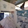 Cerca de 140 mil Universitarios participaron en Elecciones para Consejeros de la UdeG