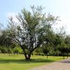 Las áreas verdes del campus son consideradas por alumnos y maestros como un oasis verde.