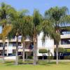 Las áreas verdes del campus son consideradas por alumnos y maestros como un oasis verde.