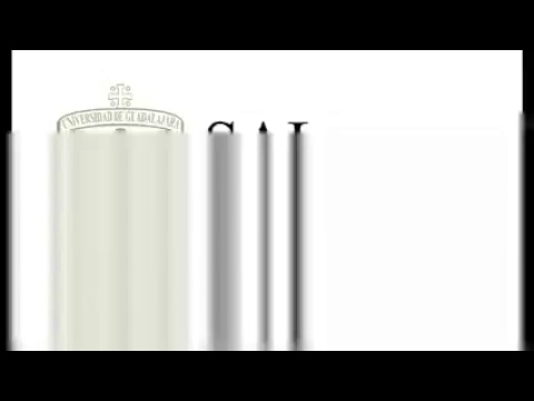 Video de la Rueda de Prensa