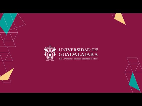 Video de Rueda de Prensa